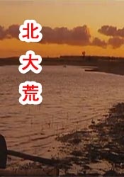 夏日决对密恋